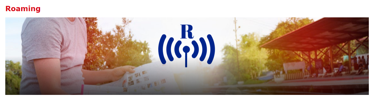 El curs Roaming! Llengües per a la mobilitat