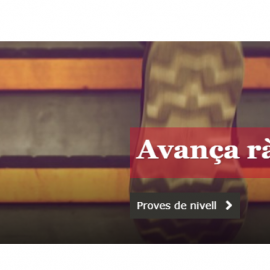 Cursos intesius d'anglès